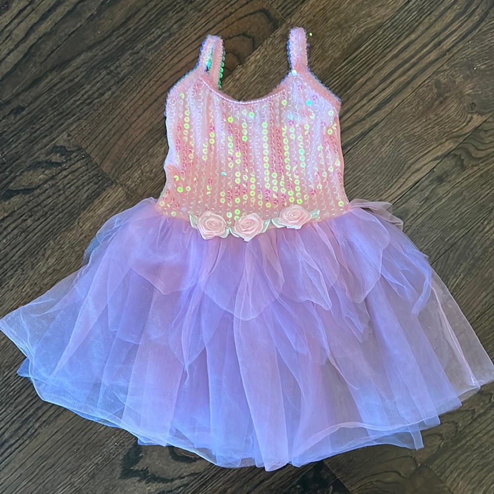 Princess Academy dress up outfit girls small 2-3T